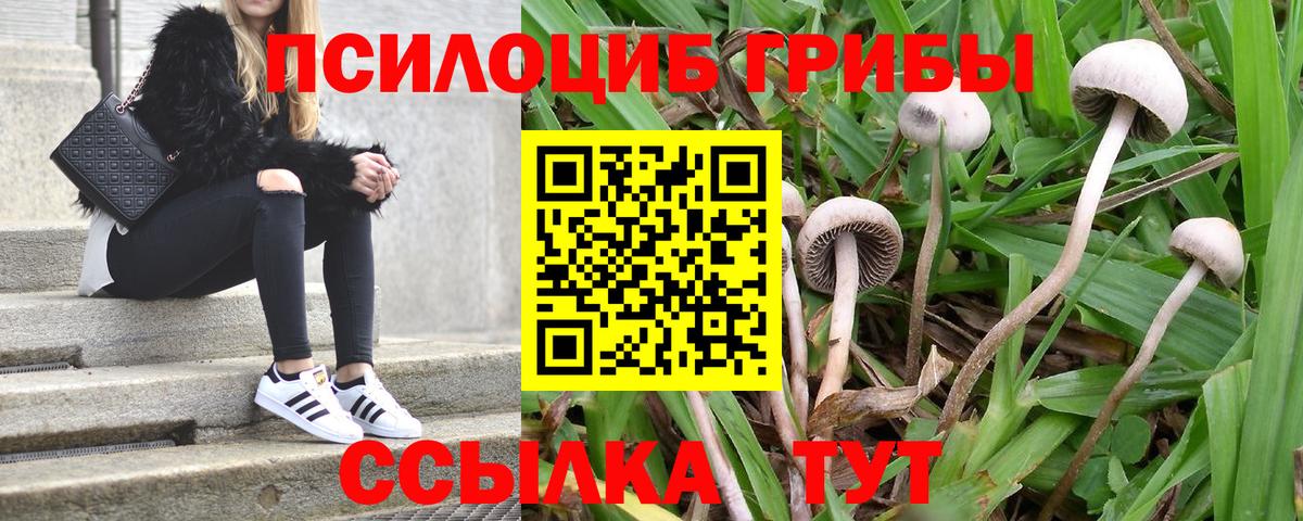 Псилоцибиновые грибы MAGIC MUSHROOMS  Вход с VPN  Татарск  Галлюциногенные грибы MAGIC MUSHROOMS 